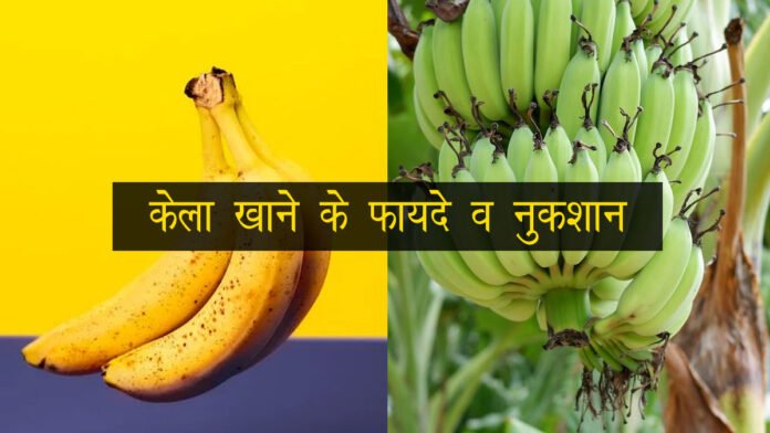 एक दिन में कितने केले खाने चाहिए? जानें केला खाने के फायदे व नुकशान