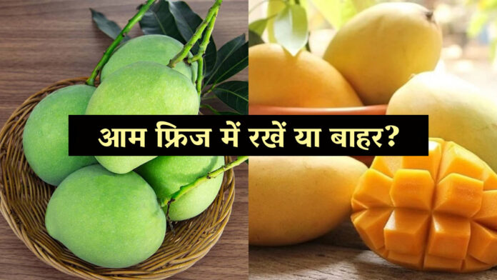 Mango Storage Tips: आम फ्रिज में रखें या बाहर? एक छोटी गलती बिगाड़ सकती है स्वाद, जानें स्टोर करने का सही तरीका