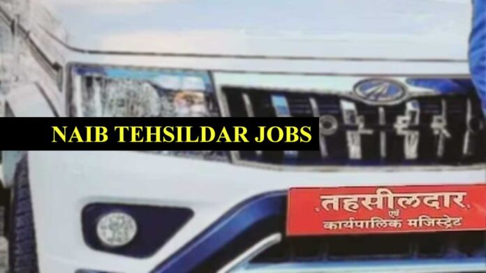 MPESB ने निकाली Naib Tehsildar की 73 पदों पर भर्ती, 17 सितंबर से आवेदन; जानें कौन कर सकता है अप्लाई?